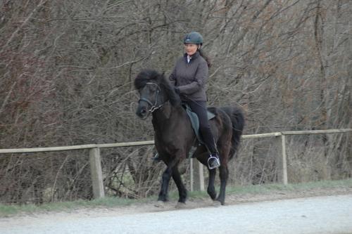 dsc 1339 grennderung