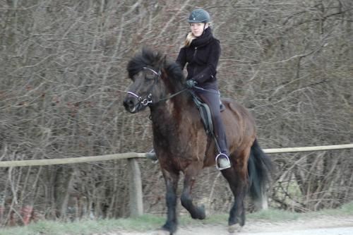 dsc 1340 grennderung