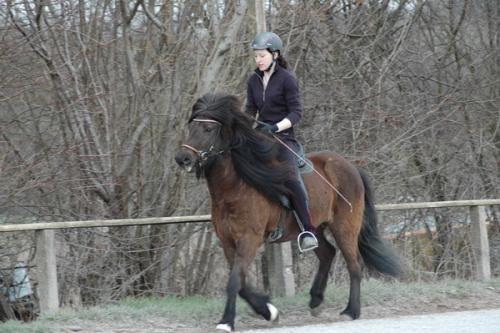 dsc 1342 grennderung