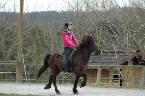 dsc 1343 grennderung