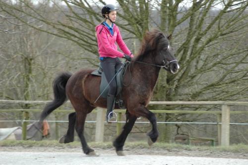 dsc 1344 grennderung