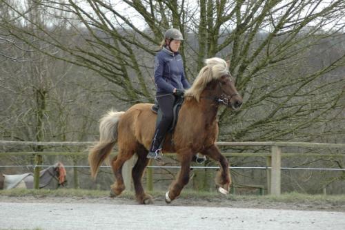 dsc 1345 grennderung