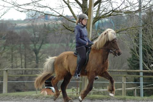 dsc 1346 grennderung