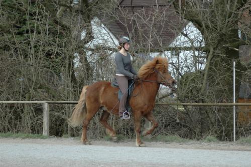 dsc 1347 grennderung