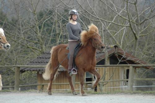 dsc 1349 grennderung