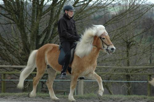 dsc 1350 grennderung