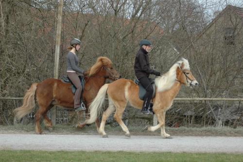 dsc 1351 grennderung