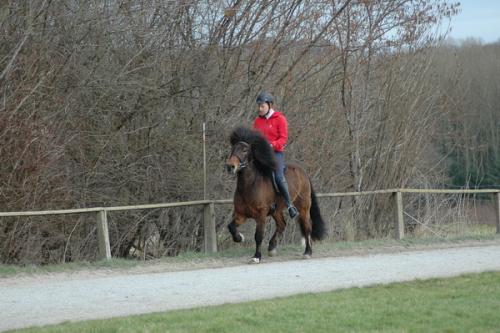 dsc 1352 grennderung