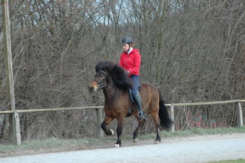 dsc 1353 grennderung