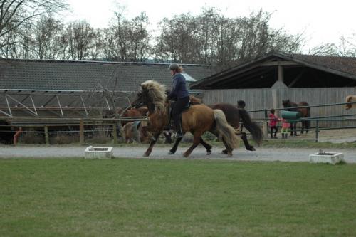 dsc 1357 grennderung