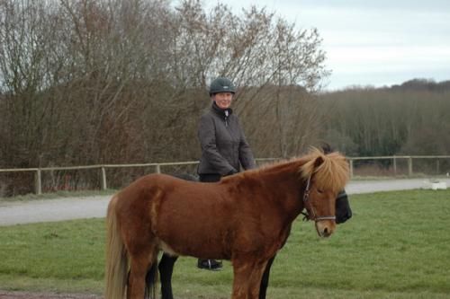 dsc 1359 grennderung