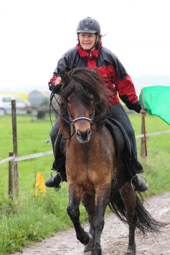 lb1d4438 grennderung