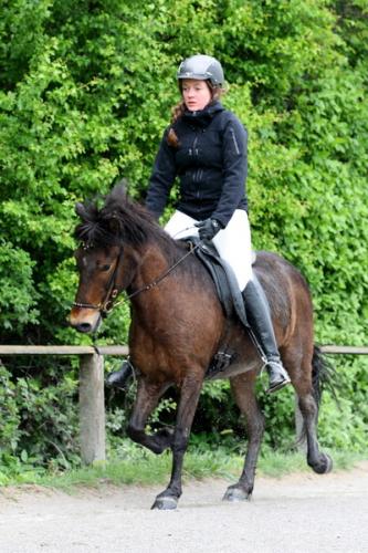 lb1d4444 grennderung