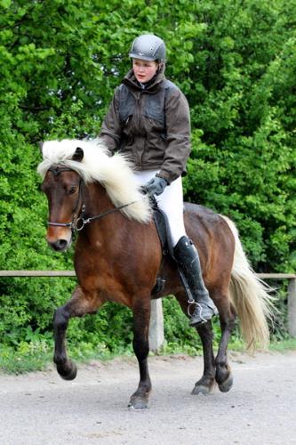 lb1d4445 grennderung