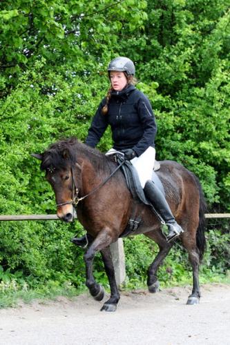 lb1d4447 grennderung