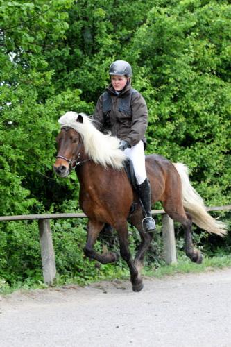 lb1d4449 grennderung