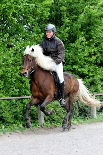 lb1d4450 grennderung