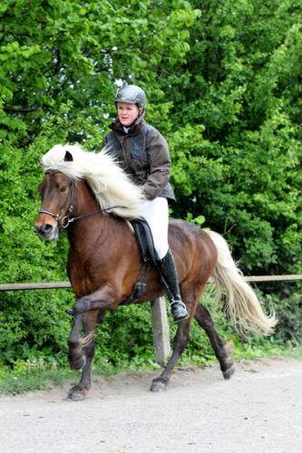 lb1d4451 grennderung