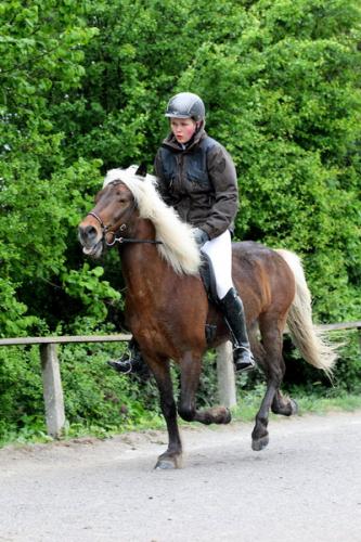 lb1d4456 grennderung