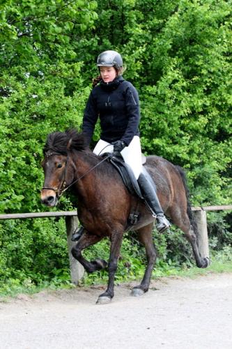 lb1d4457 grennderung