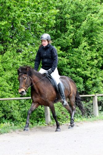 lb1d4458 grennderung