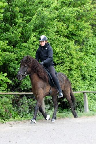 lb1d4459 grennderung