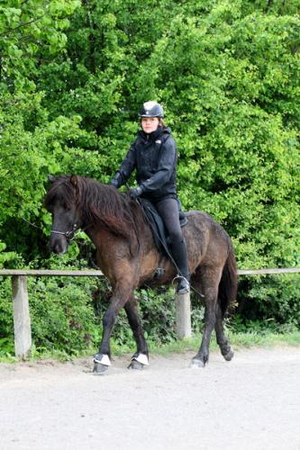 lb1d4461 grennderung