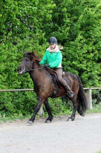 lb1d4462 grennderung