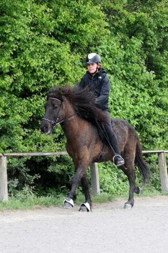 lb1d4463 grennderung