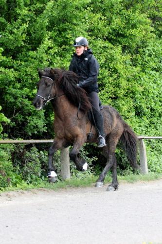 lb1d4465 grennderung