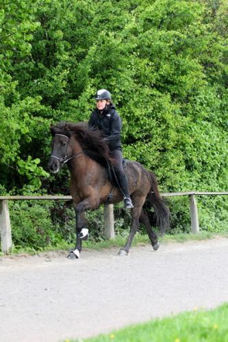 lb1d4466 grennderung