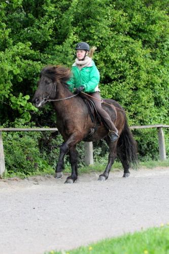 lb1d4467 grennderung