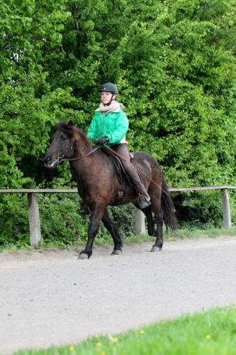 lb1d4468 grennderung