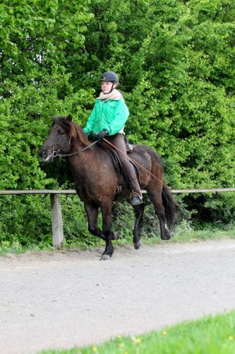 lb1d4469 grennderung