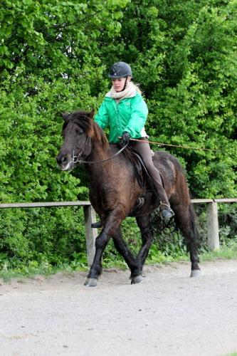 lb1d4470 grennderung