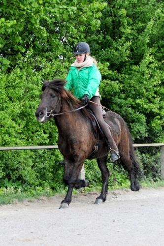 lb1d4471 grennderung