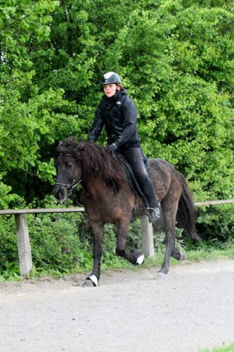 lb1d4472 grennderung