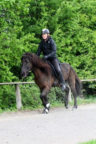 lb1d4473 grennderung