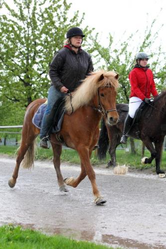 lb1d4474 grennderung