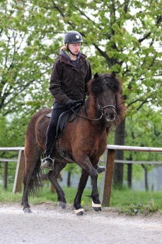 lb1d4476 grennderung