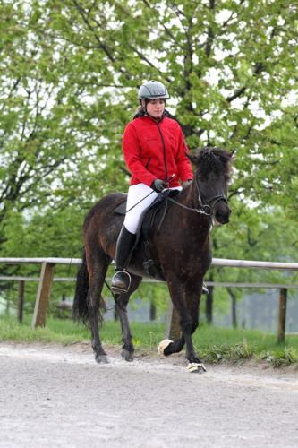 lb1d4479 grennderung