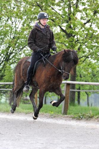 lb1d4481 grennderung