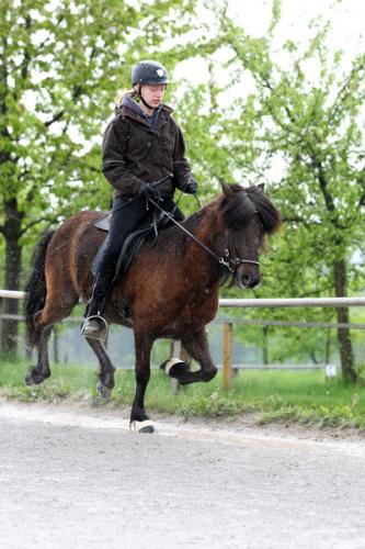 lb1d4483 grennderung