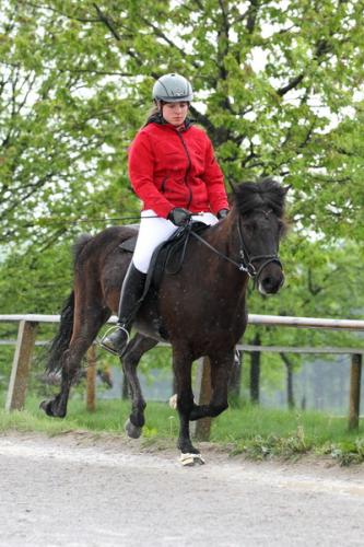 lb1d4485 grennderung