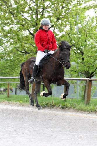 lb1d4486 grennderung