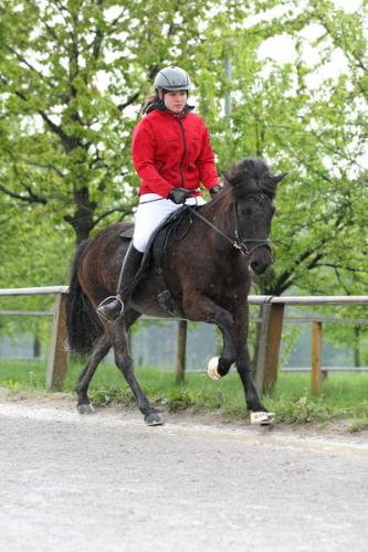 lb1d4487 grennderung