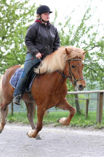 lb1d4488 grennderung