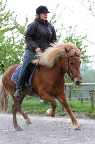 lb1d4489 grennderung