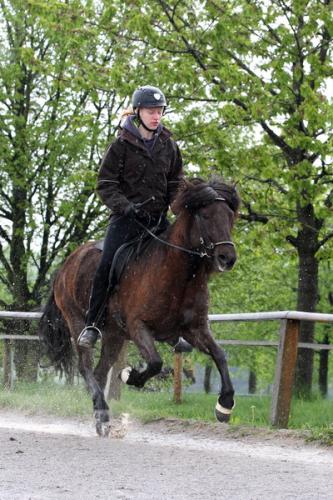 lb1d4490 grennderung