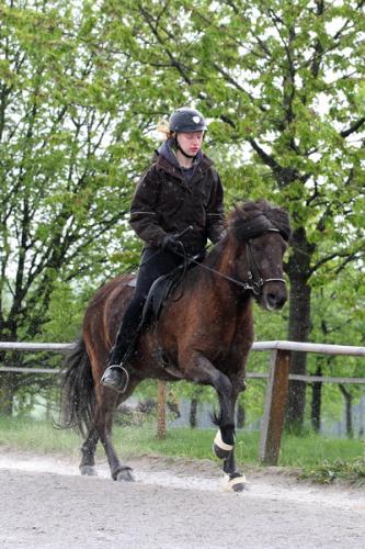 lb1d4491 grennderung